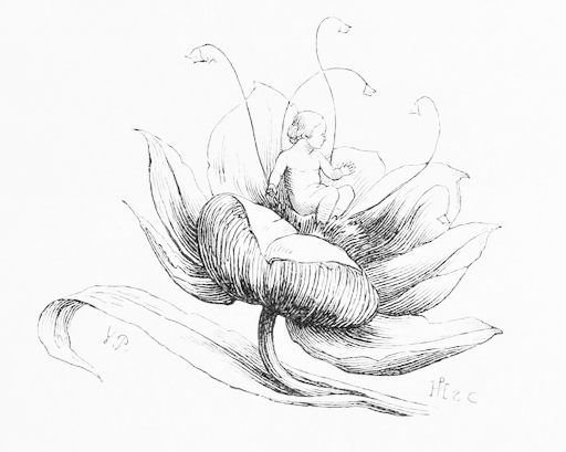 挿絵1