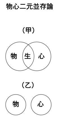 「物心二元並存論」のキャプション付きの図