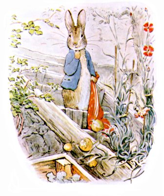 挿絵16