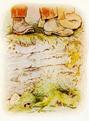 挿絵11