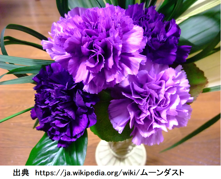 花1